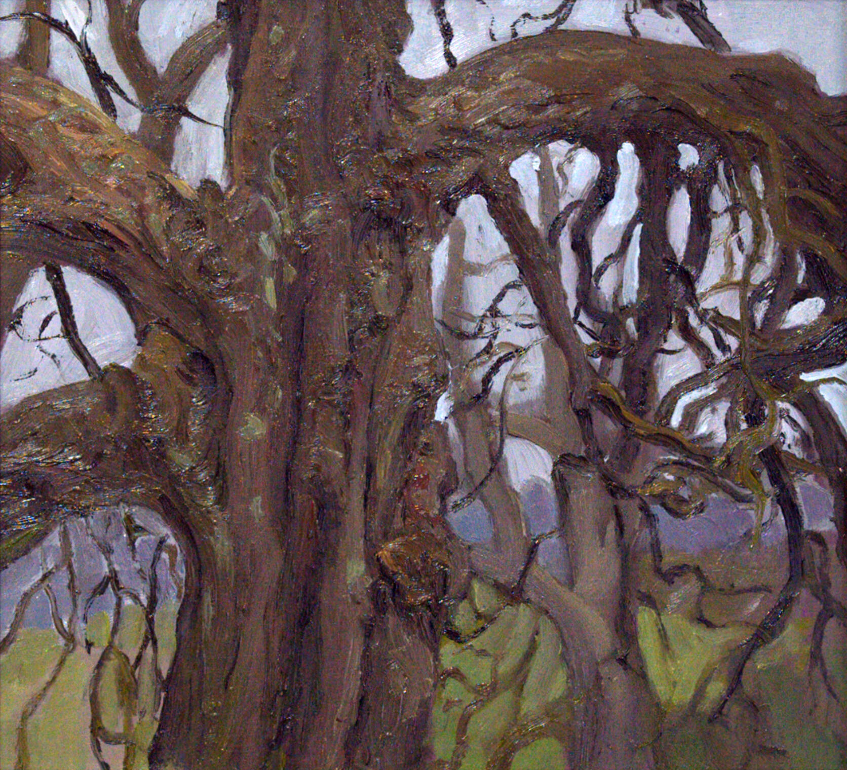 Old Pedunculate | 30 x 33.5 cm £550 | framed