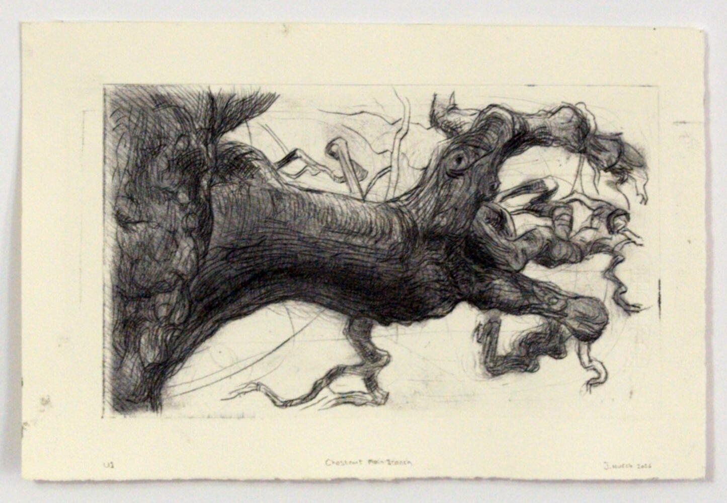 Chestnut – Main Branch | 15 × 25 cm £320 | framed