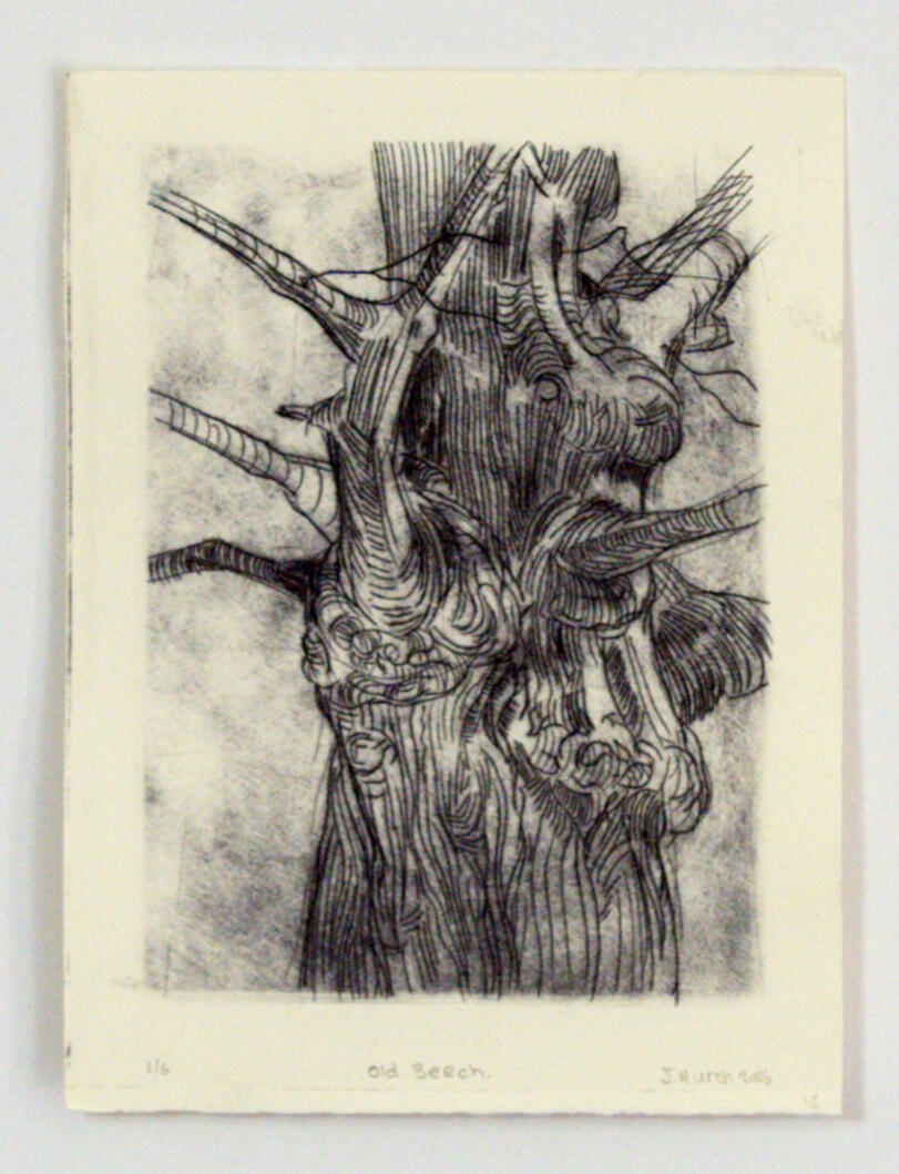 Old Beech | 12 x 18.5 cm |£260 | framed