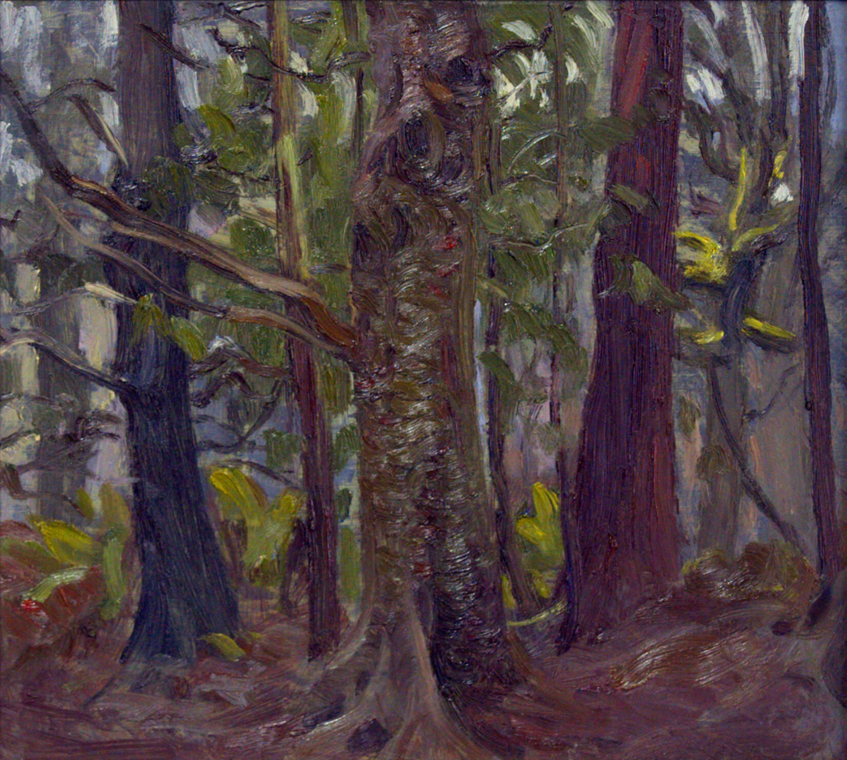 Woodland Interior I | 30 x 33.5 cm £550 | framed