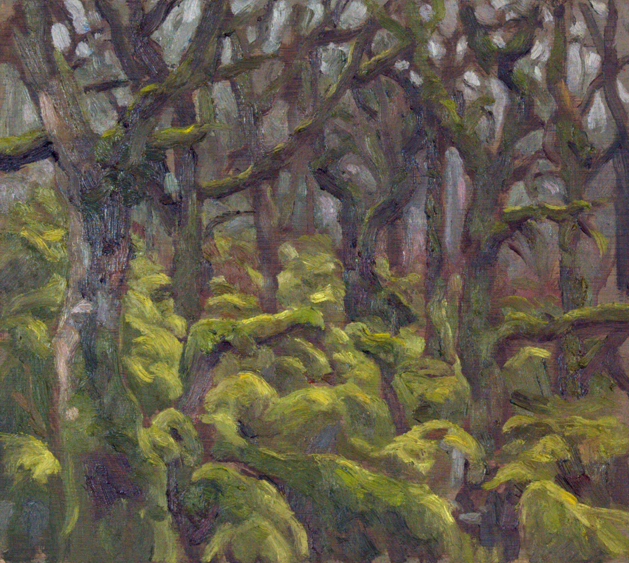 Ancient Woodland | 30 x 33.5 cm £650 | framed