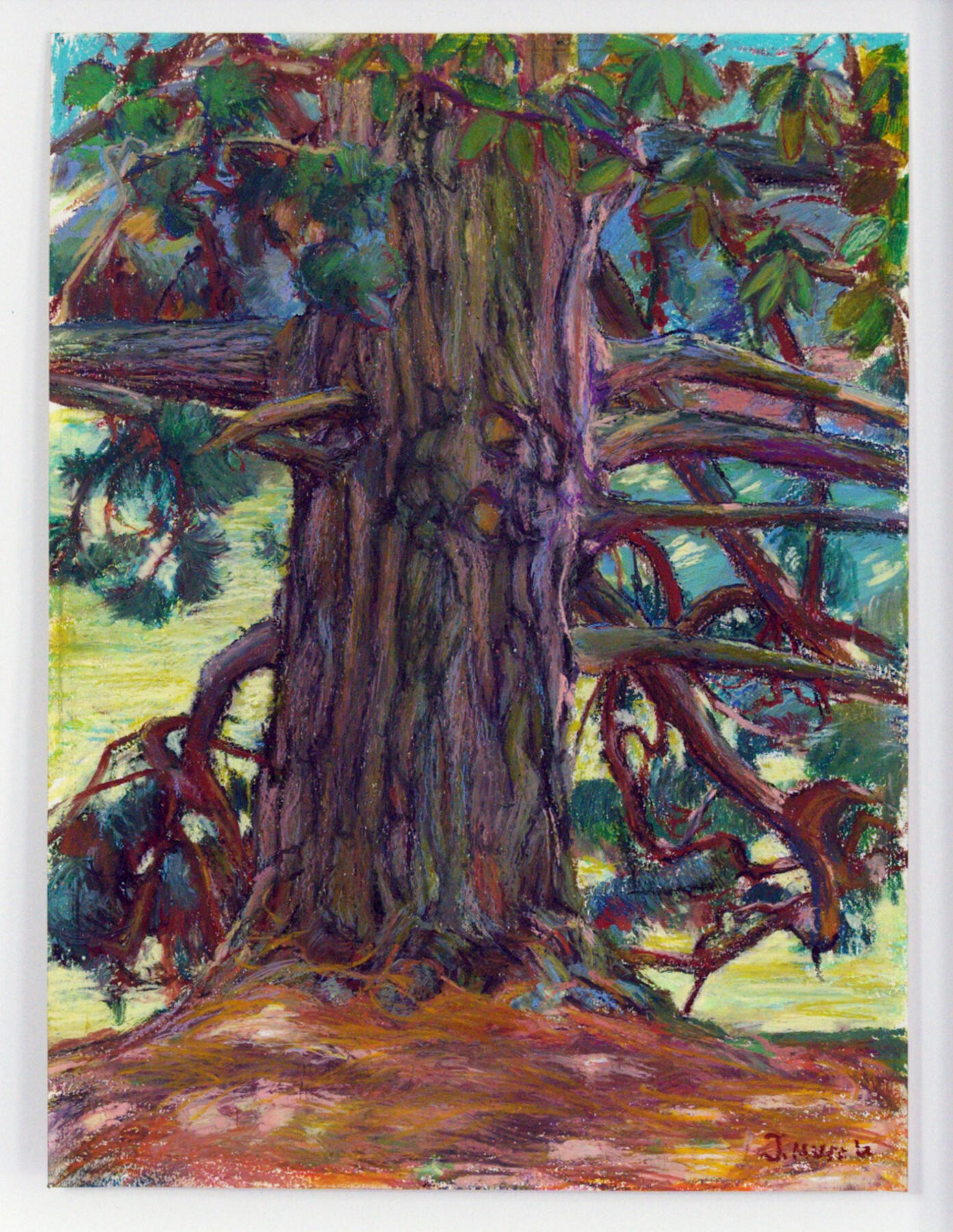 The Old Fir | 28 × 38 cm | £425 | framed