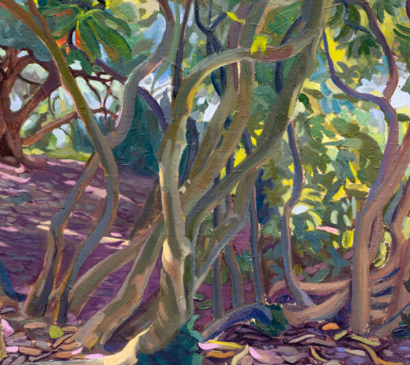 Light Through The Rhododendrons